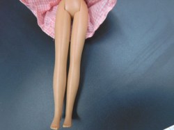 bl skipper pink check legs